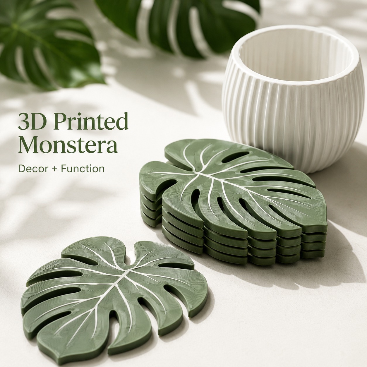 Posavasos de Planta Monstera,  - Home Office Layout reseña y precio