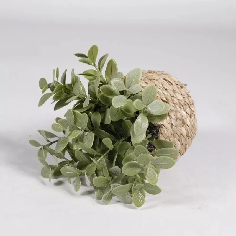 1 unidad de pequeñas plantas a - Home Office Layout reseña y precio