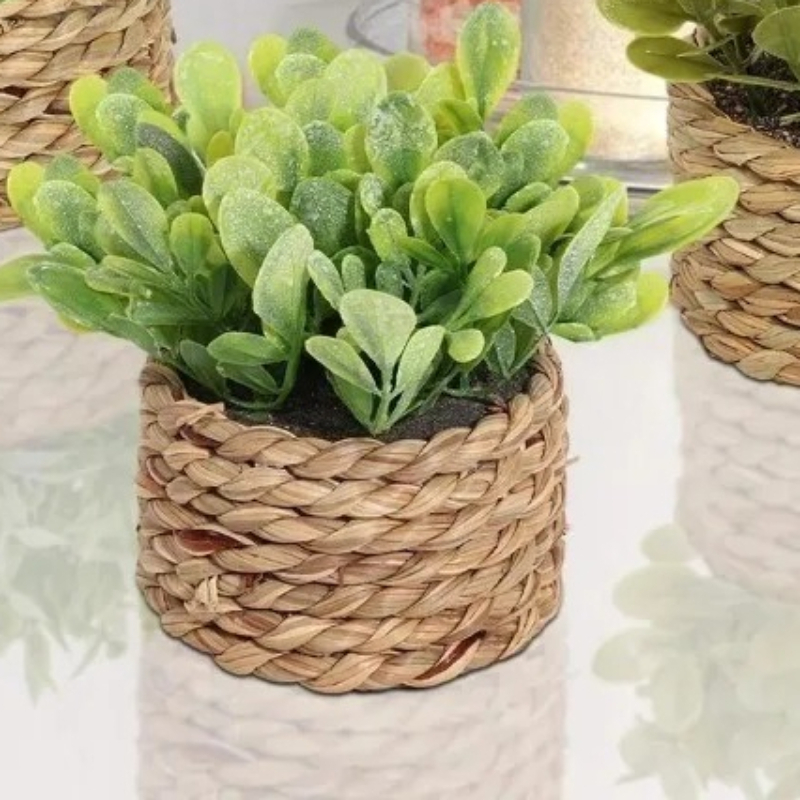 1 unidad de pequeñas plantas a - Home Office Layout reseña y precio
