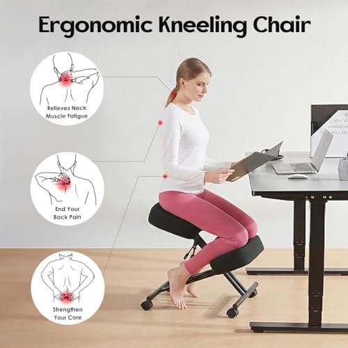 Silla ergonómica de lino para  - Ergonomic Office Chair reseña y precio
